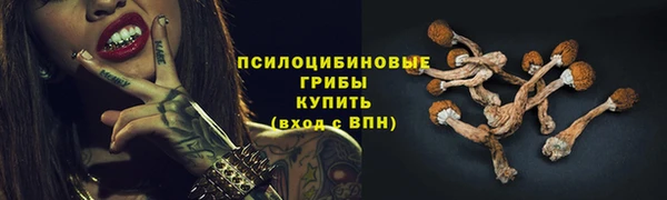 тгк Струнино