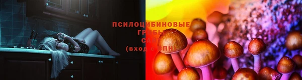 героин Тавда