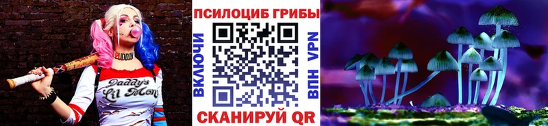 Купить закладки  Пойковский  Галлюциногенные грибы MAGIC MUSHROOMS 